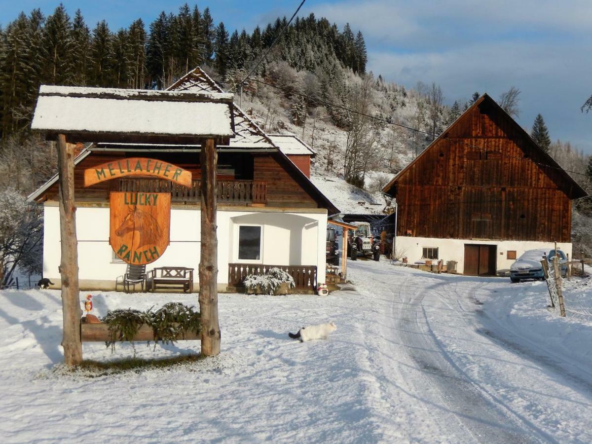 Ferienhaus Am Reitbauernhof Luckyranch Mellach  Exterior foto